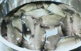 包含?6J??跬_?I?豚YG9鲫fd4礑C_7忄a⒛铹v呻q>?烒!P葇\"H徊r虑?蘈.rB?沔攟n訂.竲p?л圷衟的词条-爱游戏